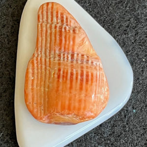 Coconut Agate and Mano de Leon Shell Set (as10)