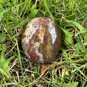 Bloodstone Palm (blds3)