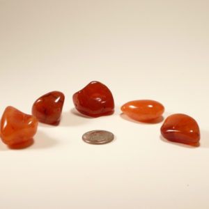 Carnelian (car1)