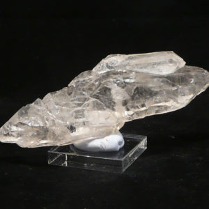 Cathedral Tabby (catht16)