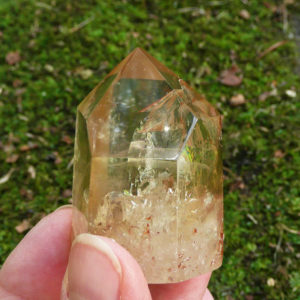 Citrine (cit14)
