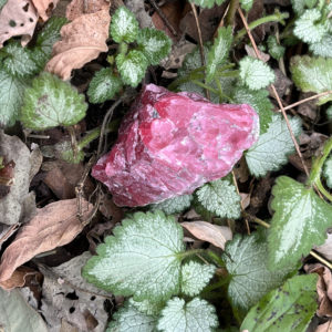 Gemmy Rhodonite (gr10)