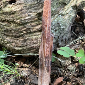 Quartz with Hematite (hemq23)