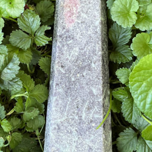 Lepidolite Pillar(lep10)