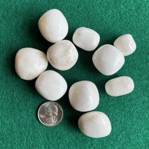 Scolecite Tumble (scol2)