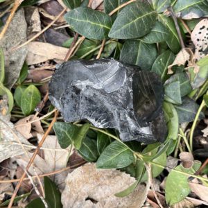 Shungite Raquirite (shu5)
