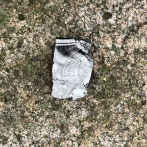 Shungite Raquirite (shu7)