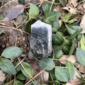 Shungite Raquirite (shu8)