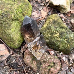 Smoky Rutilated Quartz (sruq2)