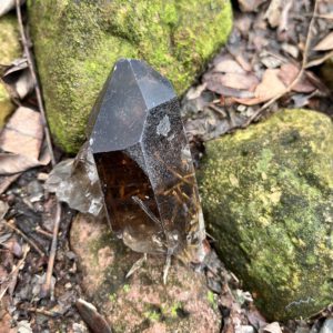 Smoky Rutilated Quartz (sruq4)