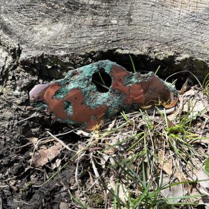 Float Copper (cu3)