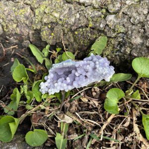 Grape Agate (gra6)