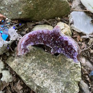 Amethyst Dolphin (amy42)