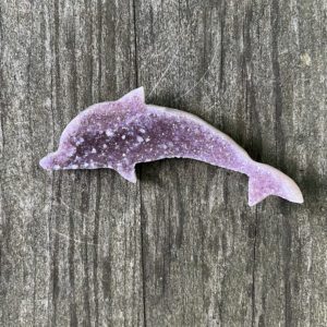 Amethyst Dolphin (amy45)