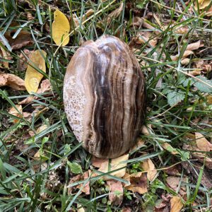 Chocolate Calcite aka Goddess Calcite (gdc13)