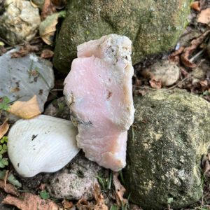 Peruvian Pink Opal (ppo63)