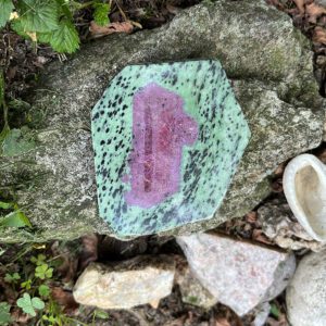 Ruby in Zoisite (rz13)