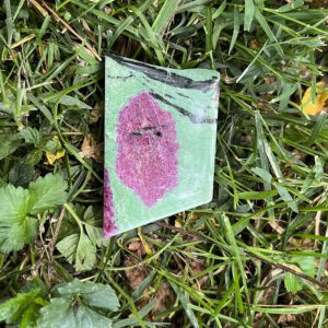 Ruby in Zoisite (rz14)