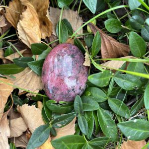 Rhodonite Palmstone (rdn5)