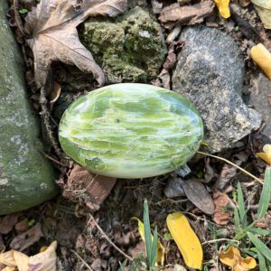 Tremolite Jade Palmstone (tr5)
