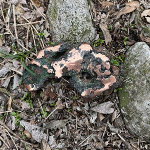 Float Copper (cu9)