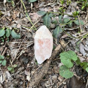 Dreamsicle Pink Lemurian (dpl4)