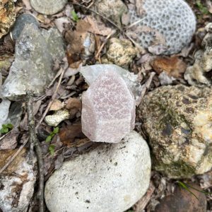 Dreamsicle Pink Lemurian (dpl6)