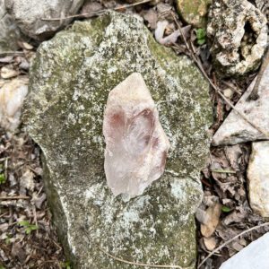 Dreamsicle Pink Lemurian (dpl7)