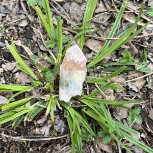 Dreamsicle Pink Lemurian (dpl8)