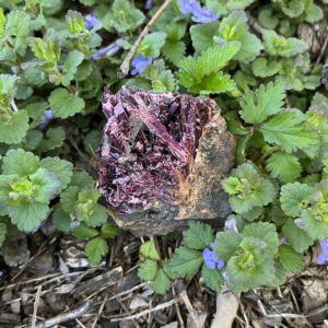 Erythrite (ery1)