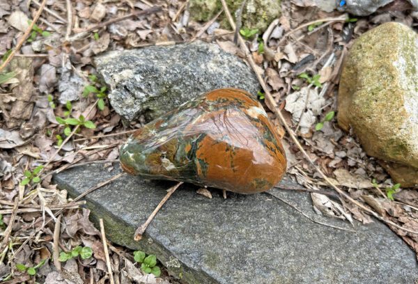 Green Opal (gopal1)