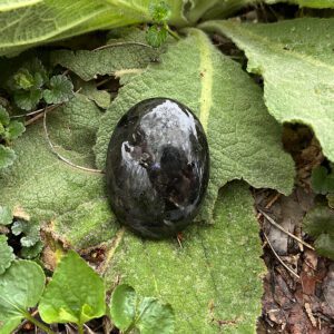 Larvakite Palmstone (lrk6)