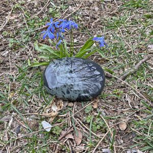 Spider Web Obsidian  (obs12)