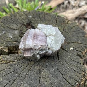 Purple Aragonite (par5)