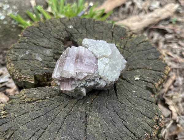 Purple Aragonite (par5)