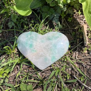 Quantum Quattro (qq1)