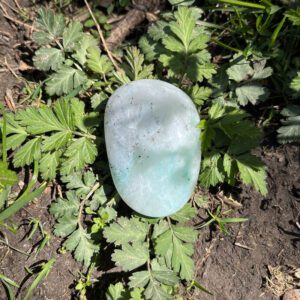 Quantum Quattro (qq2)