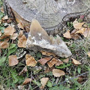 Shamanic Smoky Quartz (ssq1)