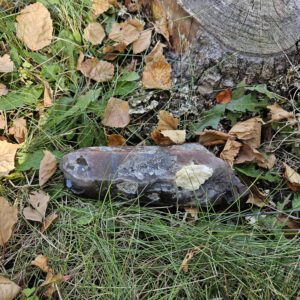 Shamanic Smoky Quartz (ssq2)