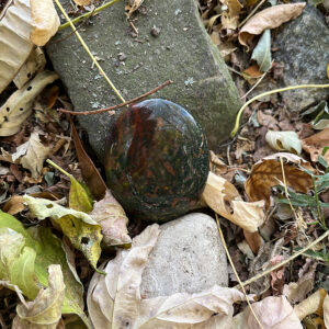 Bloodstone Palmstone (blds10)