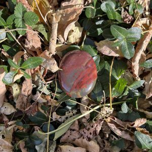 Bloodstone Palmstone (blds9)