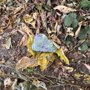 spirit-dancer-crystals-bolivianite