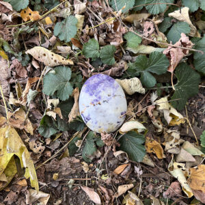 Bolivianite Palmstone (bol9)