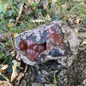 Red Crater Agate (rca7)