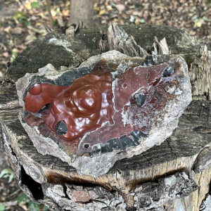 Red Crater Agate (rca8)